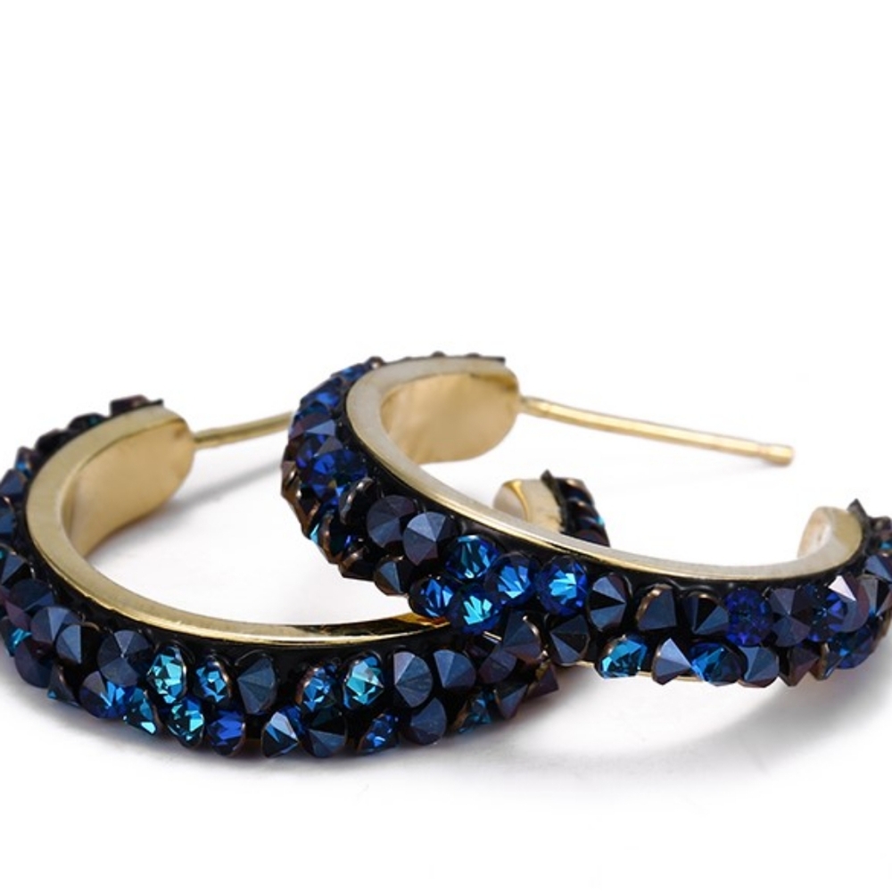Hoops Earring